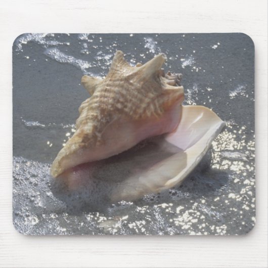 Seashell auf Insel des Strand-| Sanibel, Florida Mousepad (Vorne)