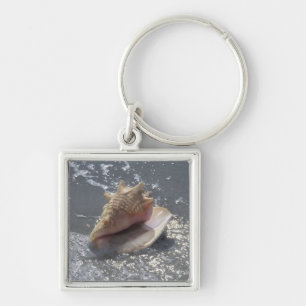 Seashell auf Insel des Strand- Sanibel, Florida Schlüsselanhänger