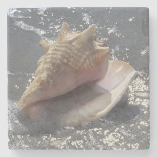 Seashell auf Insel des Strand- Sanibel, Florida Steinuntersetzer