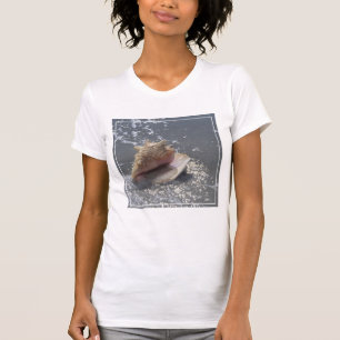 Seashell auf Insel des Strand-  Sanibel, Florida T-Shirt