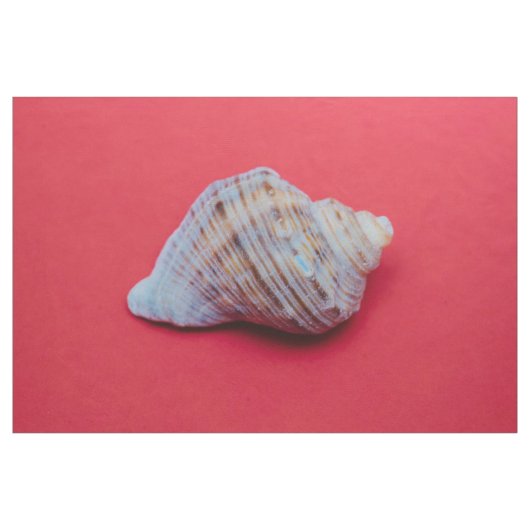 Seashell auf rotem Hintergrund Stoff (Yard (91,4 cm))