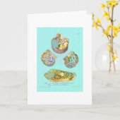 Seashell auf Rotkehlchen-Ei-Blau Karte (Gelbe Blume)