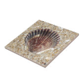 Seashell auf Sand Fliese (Seite)