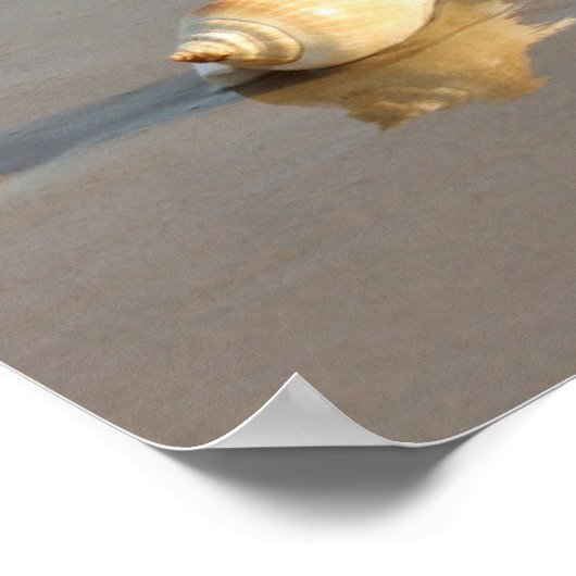 Seashell auf Sand Poster (Ecke)