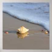 Seashell auf Sand Poster (Vorne)