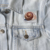 Seashell auf St. Petersburg des Strand-|, Florida Button (Beispiel)