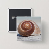 Seashell auf St. Petersburg des Strand-|, Florida Button (Vorne & Hinten)