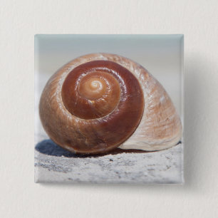Seashell auf St. Petersburg des Strand- , Florida Button