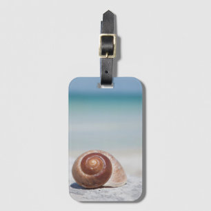 Seashell auf St. Petersburg des Strand- , Florida Gepäckanhänger