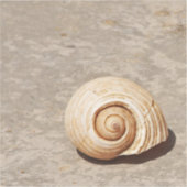 SeaShell Aufkleber (Vorderseite)