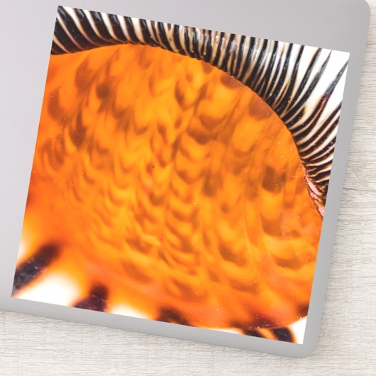 Seashell Aufkleber (Detail)