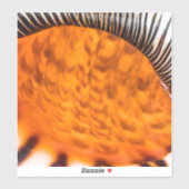 Seashell Aufkleber (Blatt)