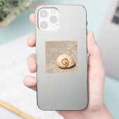 SeaShell Aufkleber (Telefon)