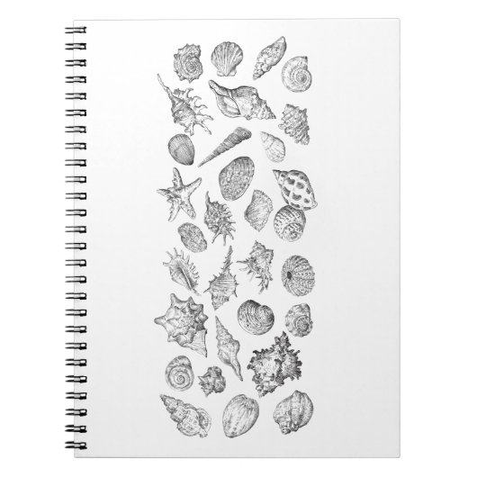 Seashell Bath Handtuch Set Notizblock (Vorderseite)