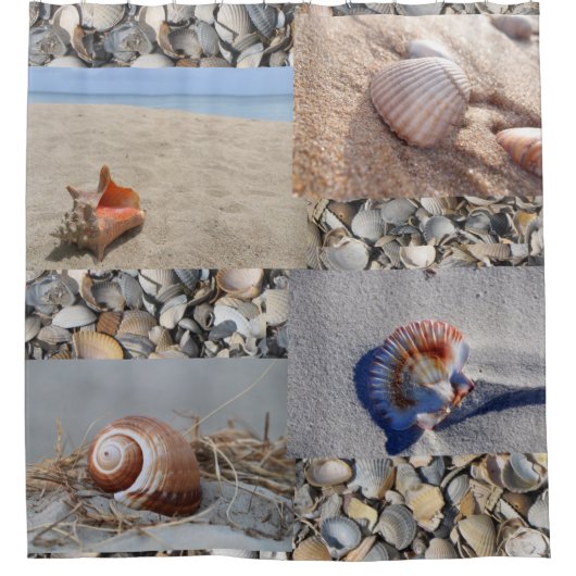 Seashell Beach Badezimmer Duschvorhang (Vorderseite)