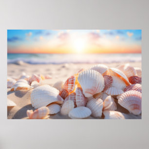 Seashell Beach Nature Ruhe Poster