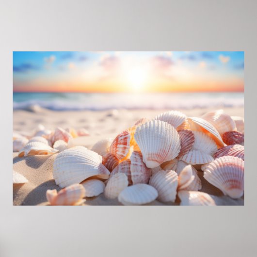 Seashell Beach Nature Ruhe Poster (Vorne)