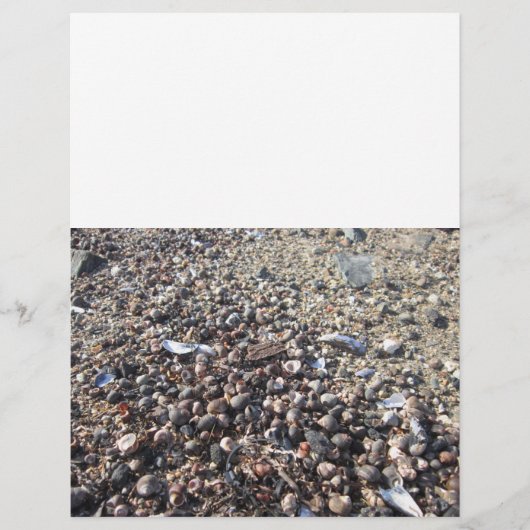 Seashell Beach Ocean Boarder Buch der Schattenseit Flyer (Vorne)
