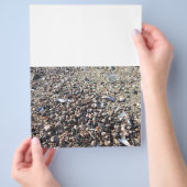 Seashell Beach Ocean Boarder Buch der Schattenseit Flyer (Hand)