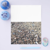 Seashell Beach Ocean Boarder Buch der Schattenseit Flyer (Einzeln)