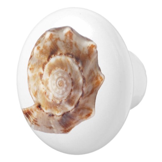 Seashell Beach Ocean Muschel Keramikknauf (Rechts)