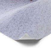 Seashell Beach Ruhe Friedliche Natur Poster (Ecke)