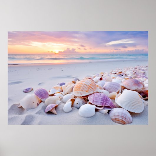 Seashell Beach Ruhe Friedliche Natur Poster (Vorne)