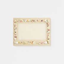 Seashell Beach Sand Border