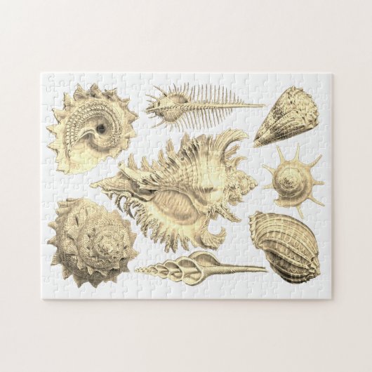 Seashell Beach Seeufer elegant Puzzle (Horizontal)