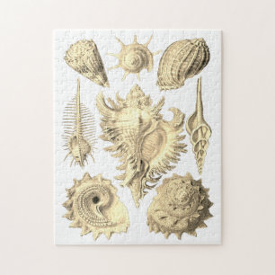 Seashell Beach Seeufer elegant Puzzle