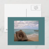 Seashell Beach Vacation Postkarte (Vorne/Hinten)