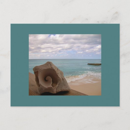Seashell Beach Vacation Postkarte (Vorderseite)