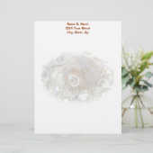 Seashell bei Niedrigtidekoordinierungselementen Briefbogen (Stehend Vorderseite)