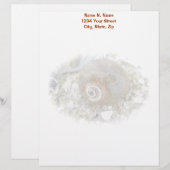 Seashell bei Niedrigtidekoordinierungselementen Briefbogen (Vorne/Hinten)