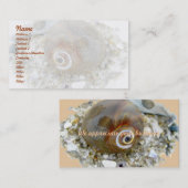 Seashell bei Niedrigtidekoordinierungselementen Visitenkarte (Vorne/Hinten)
