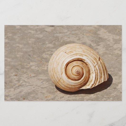 SeaShell Briefpapier (Vorderseite)