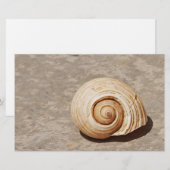 SeaShell Briefpapier (Vorne/Hinten)