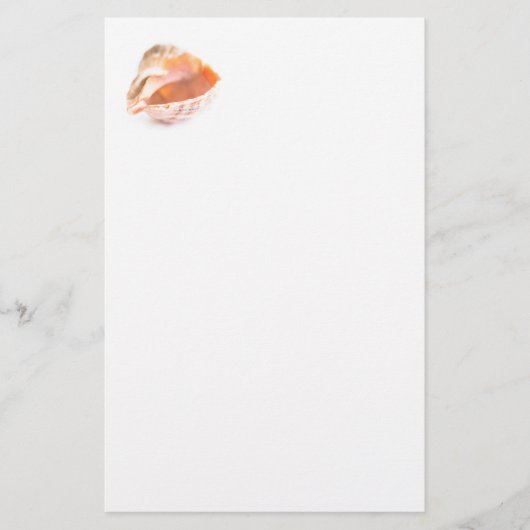 Seashell Briefpapier (Vorderseite)