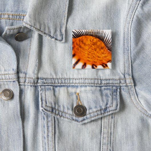 Seashell Button (Beispiel)