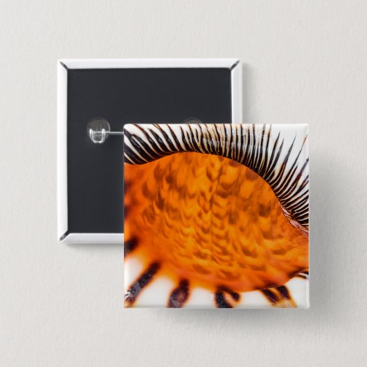 Seashell Button (Vorne & Hinten)