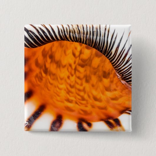 Seashell Button (Vorderseite)
