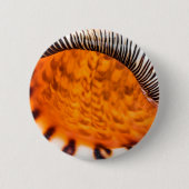 Seashell Button (Vorderseite)