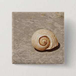 SeaShell Button