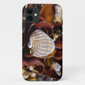 Seashell Case-Mate iPhone Hülle (Rückseite)