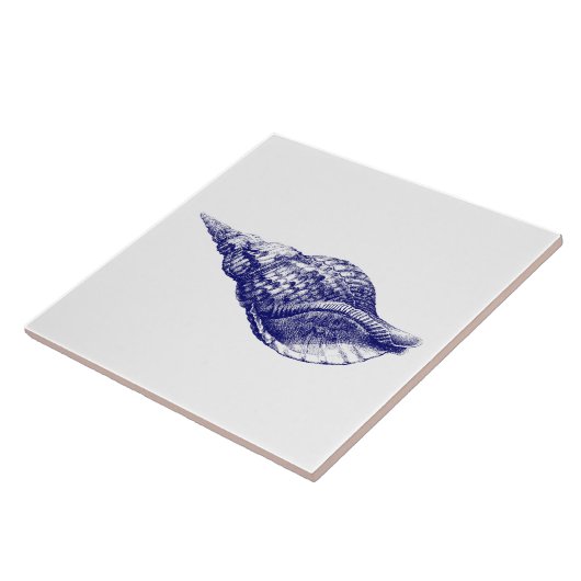 Seashell Charonia Tritonis Blue & White Fliese (Seite)