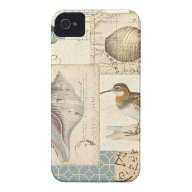 Seashell-Collage Case-Mate iPhone Hülle (Rückseite)