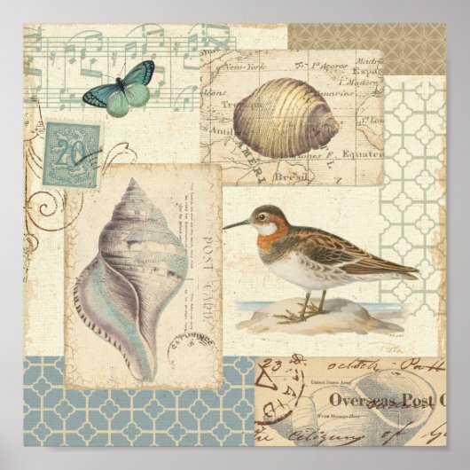 Seashell Collage Poster (Vorne)
