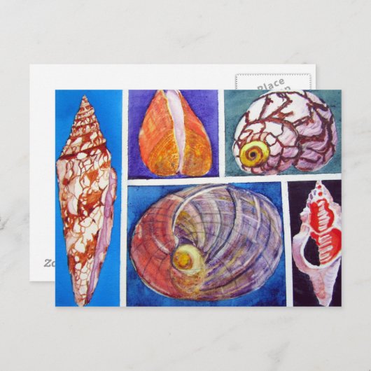 Seashell Collage Postkarte (Vorne/Hinten)