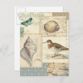 Seashell Collage Postkarte (Vorne/Hinten)