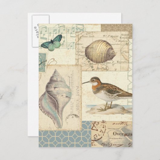 Seashell Collage Postkarte (Vorne/Hinten)
